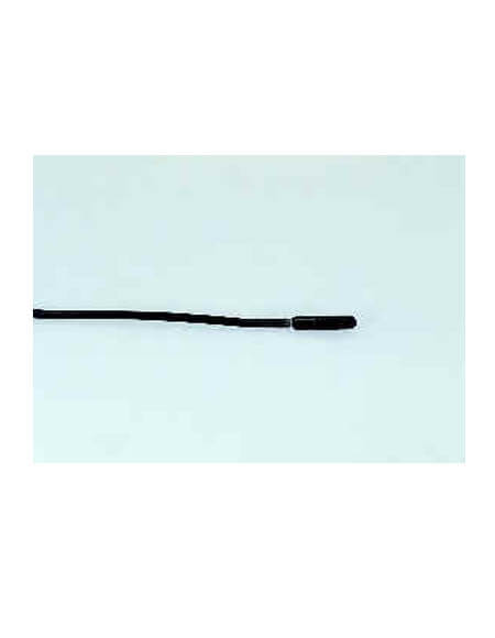 Molded RTD Probe